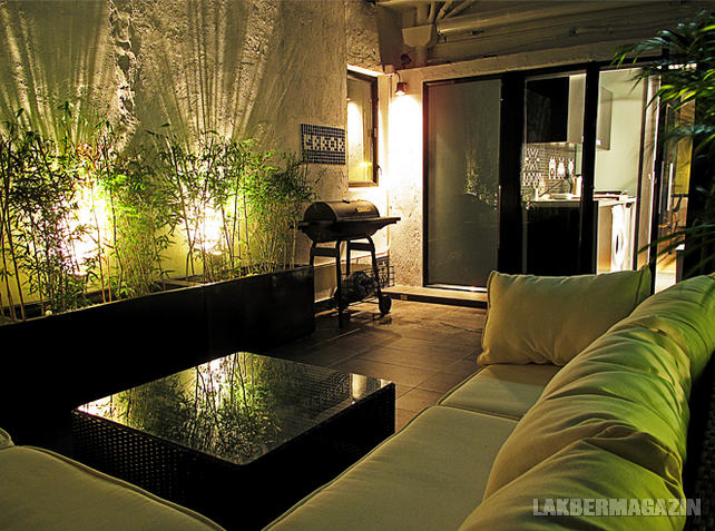 Kis 35nm-es lakás átszervezett terekkel és falakkal, hangulatos terasszal - terasz trópusi növényekkel