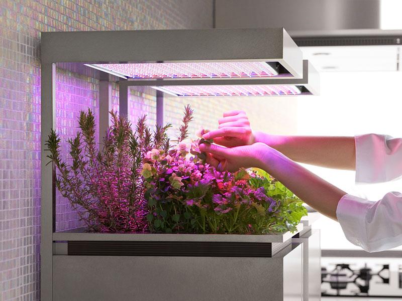A  konyhabútor  gyártó cég ötlete a fűszernövény kertészetet egyenesen a  konyhabútorba  integrálja - LED fényekkel segítve a növények fejlődését