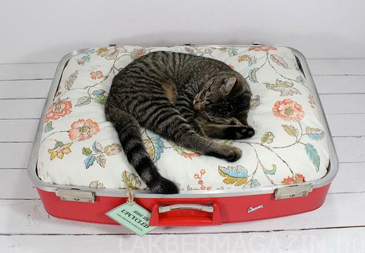 Ne dobd ki a régi bőröndödet - vintázs macska, kutya bútor házikedvenceknek