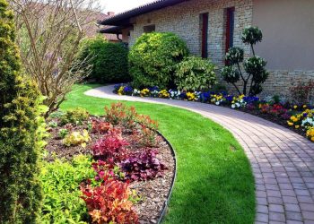 Mediterrán előkert