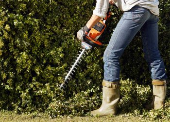 Őszi sövényápolás könnyen és precízen