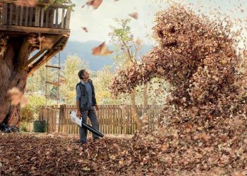 Gyep felkészítése a télre - TIPPEK