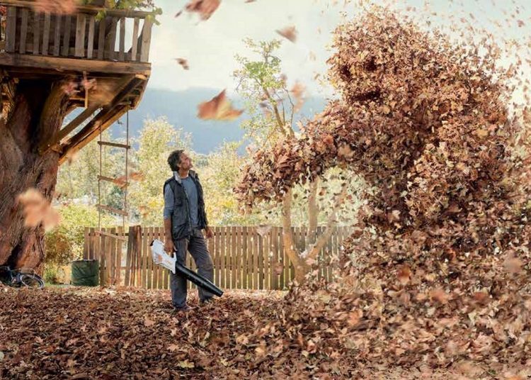 Gyep felkészítése a télre - TIPPEK