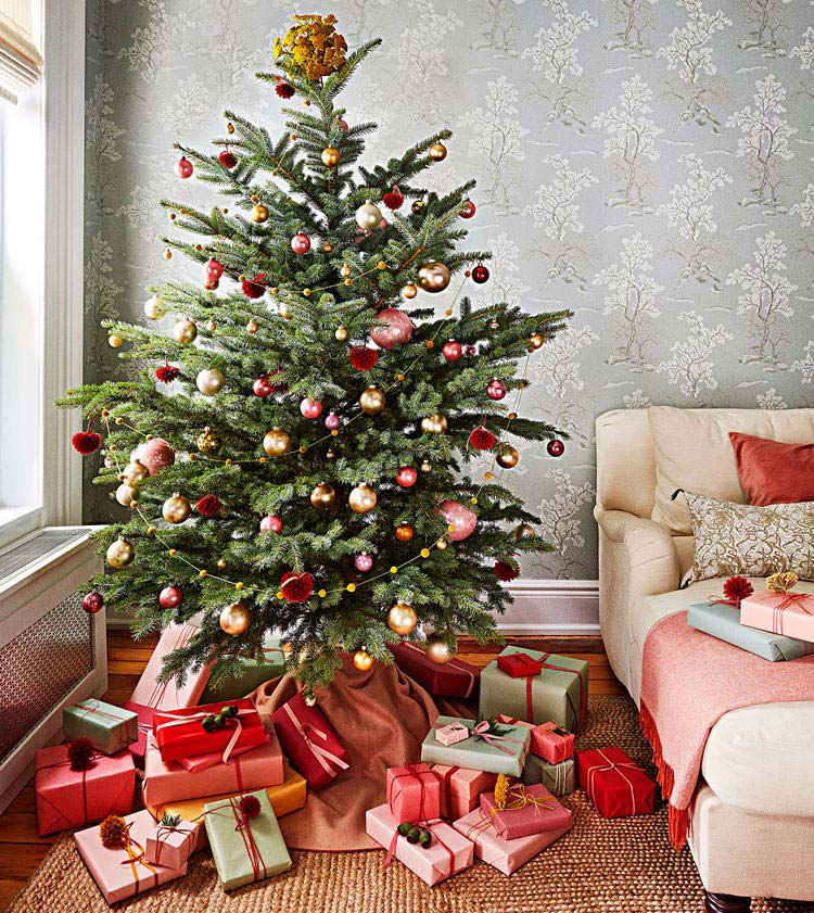 Az 5 legnépszerűbb fenyőféle – karácsonyfa választáshoz tippek az ünnepekre