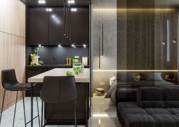 Színezett üveg térelválasztó fal 38m2-es lakás egyetlen helyiségének zónákra osztásához