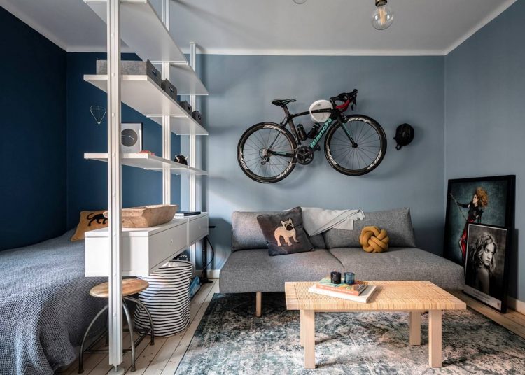 Térelválasztás színárnyalatokkal és könyvespolccal - kis lakás karakteres elemekkel és tágas konyhával