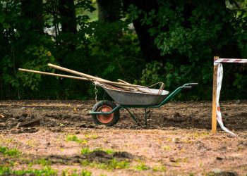 Kertfelújítást tervez? Ezt az állami támogatást igényelje az álomkert kialakításához!