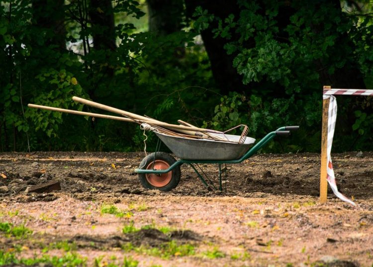 Kertfelújítást tervez? Ezt az állami támogatást igényelje az álomkert kialakításához!