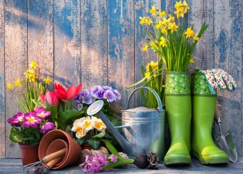 Tervezze meg az álomkertjét 7 lépésben