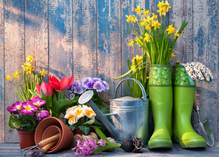 Tervezze meg az álomkertjét 7 lépésben