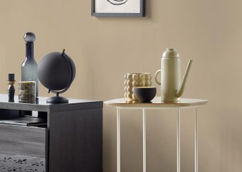 Népszerű falszín lesz 2022-ben a nád