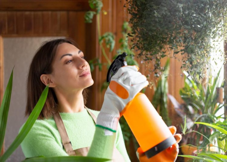 Hogyan alakítsd varázslatos zöldövezetté a teraszod?