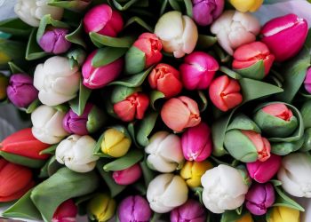 Tavaszi dekorációk