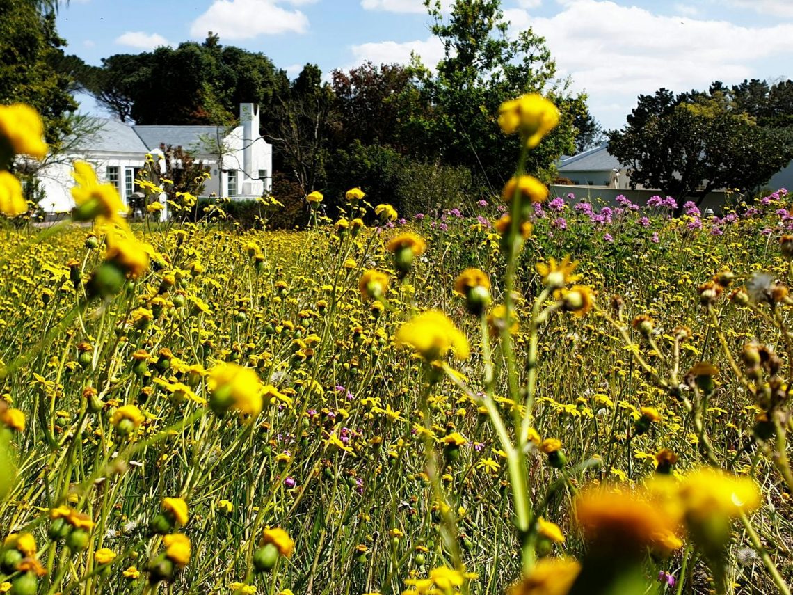 Kert trendek 2024-ben - összhangban a természettel