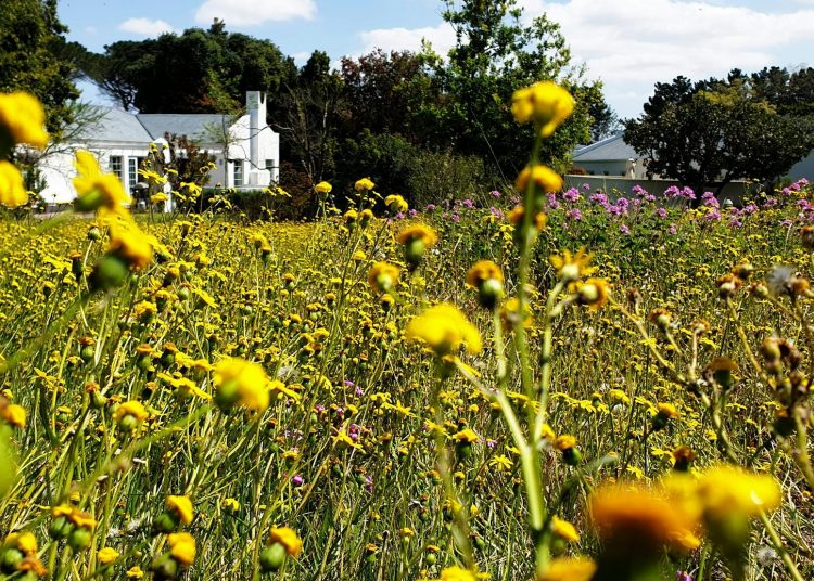Kert trendek 2024-ben - összhangban a természettel
