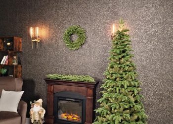 Keskeny műfenyők - praktikus megoldás korlátozás nélkül