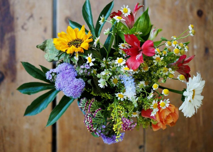 Virágok vetése magról – útmutató