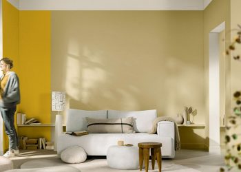 Festék, festés ötletek: hogyan válassz megfelelő falfestéket? Bel- és kültéri falfestékek