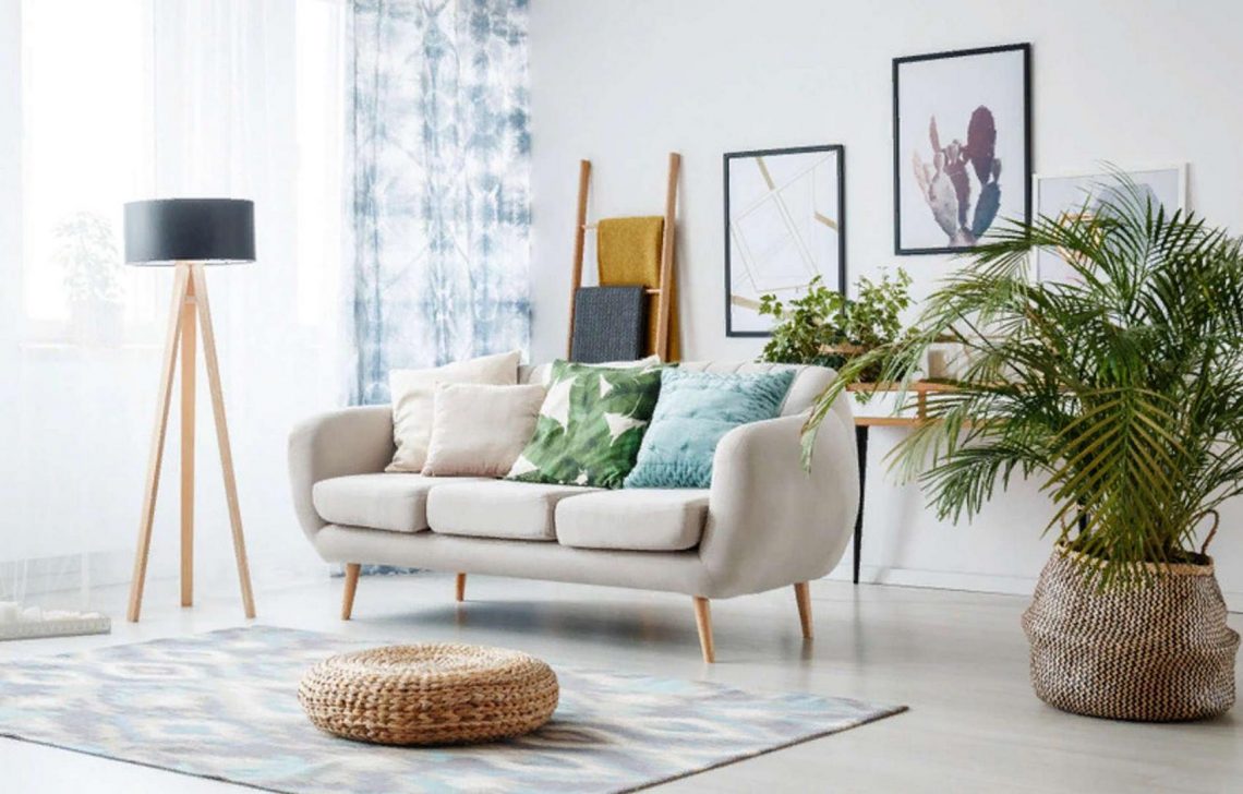 4 pálma fajta, amelyek szobanövénynek tökéletesek