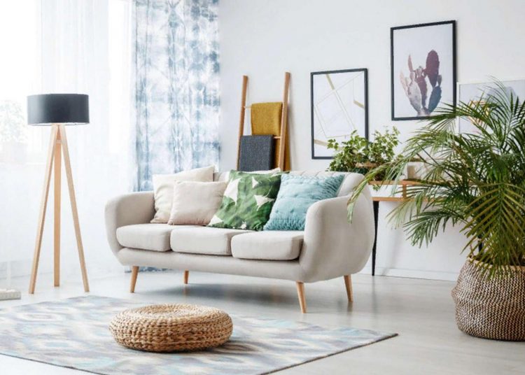 4 pálma fajta, amelyek szobanövénynek tökéletesek