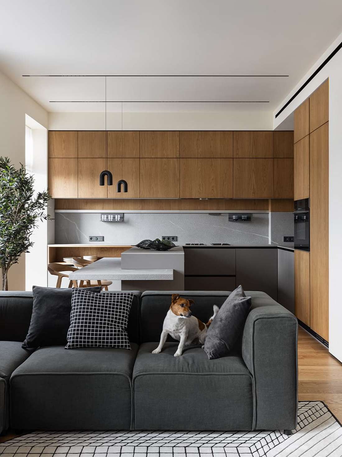 Mancsmosó a két jack russell terriernek, letisztult fa felületek család otthonában