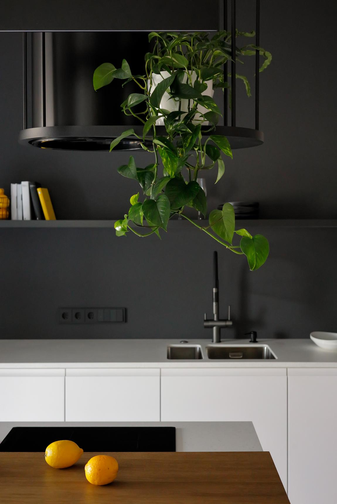 Modern, stílusos, kényelmes: fiatal nő lakása mézsárga, mélykék, fekete, fehér színvilággal Modern, stílusos, kényelmes: fiatal nő lakása mézsárga, mélykék, fekete, fehér színvilággal