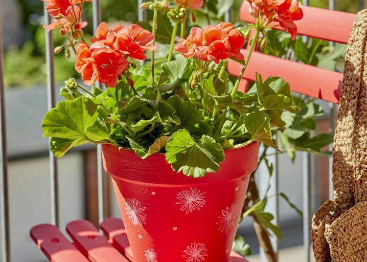 Muskátli újrahasznosított kaspóban: kreatív kézműves ötletek