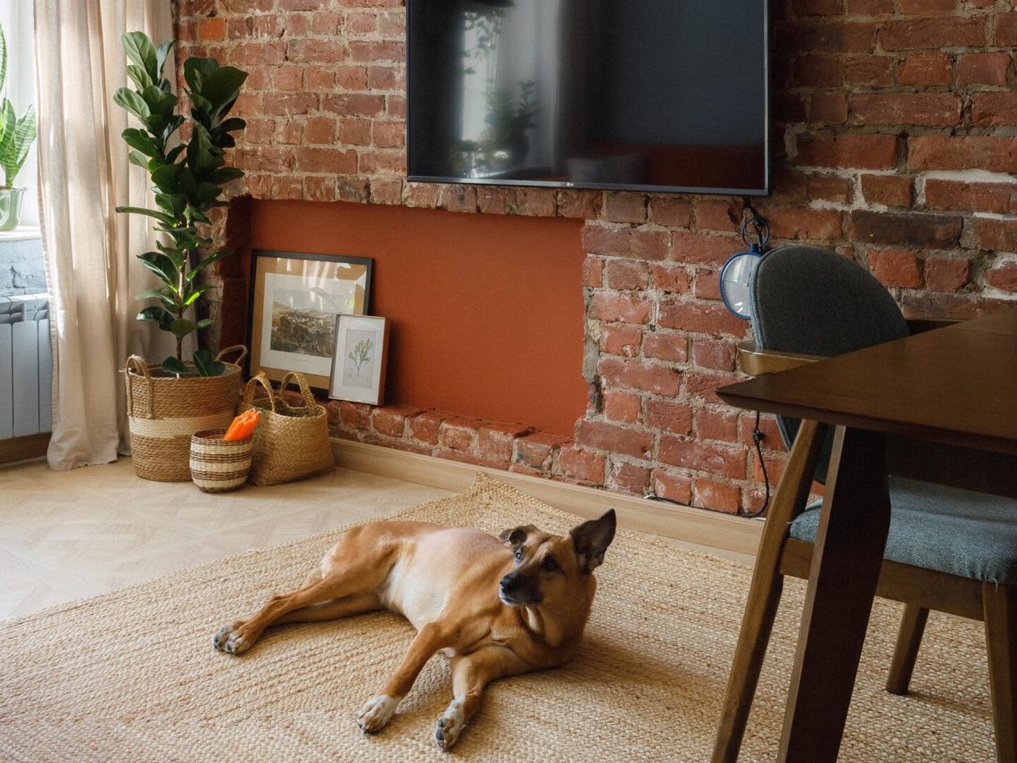 Lakberendező nélkül alakított ki színes, érdekes tereket otthonában a házaspár