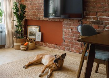 Lakberendező nélkül alakított ki színes, érdekes tereket otthonában a házaspár