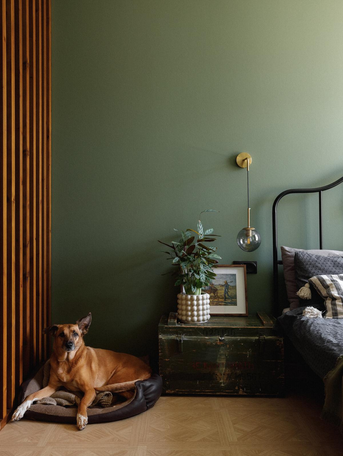 Lakberendező nélkül alakított ki színes, érdekes tereket otthonában a házaspár Lakberendező nélkül alakított ki színes, érdekes tereket otthonában a házaspár