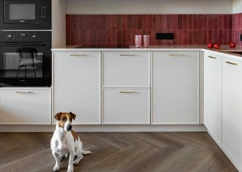 Tapéta keretben, színes előszoba, érdekes részletek 50 m2-en