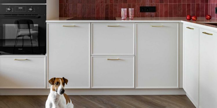 Tapéta keretben, színes előszoba, érdekes részletek 50 m2-en