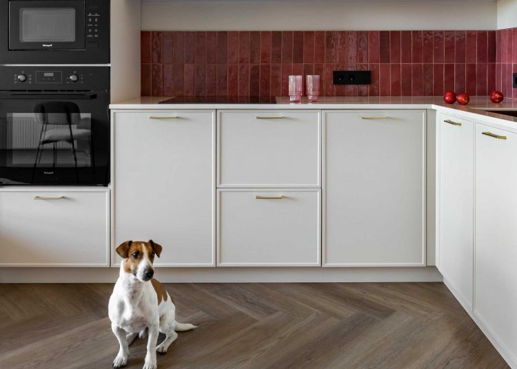 Tapéta keretben, színes előszoba, érdekes részletek 50 m2-en