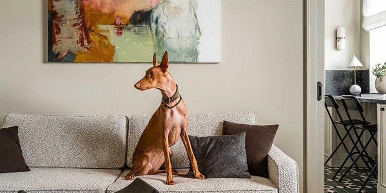 Időtlen elegancia, távol a múló trendektől