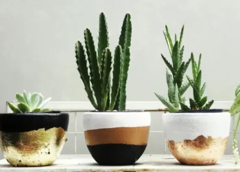 Kaspó- és növénytartó trendek 2026