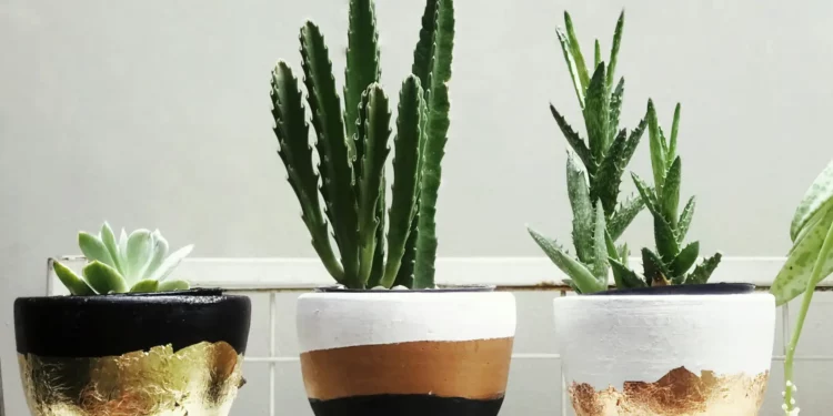 Kaspó- és növénytartó trendek 2026