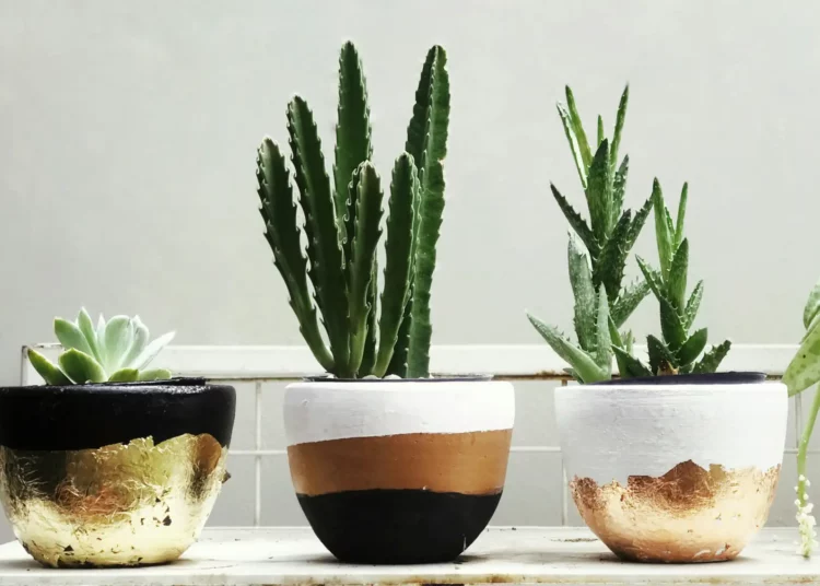 Kaspó- és növénytartó trendek 2026