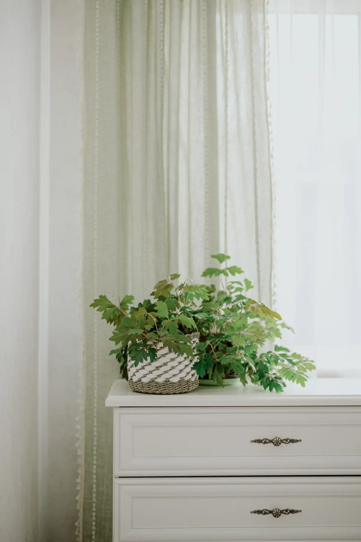 Szülők vidéki háza: otthonos öko-stílus és vintage