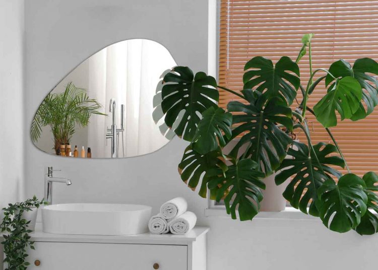 Tükör és fali panel: Hogyan varázsolja újjá otthonát pillanatok alatt?