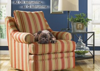 A Flairspring pár hónapja nyitotta meg első üzletét Budapesten.