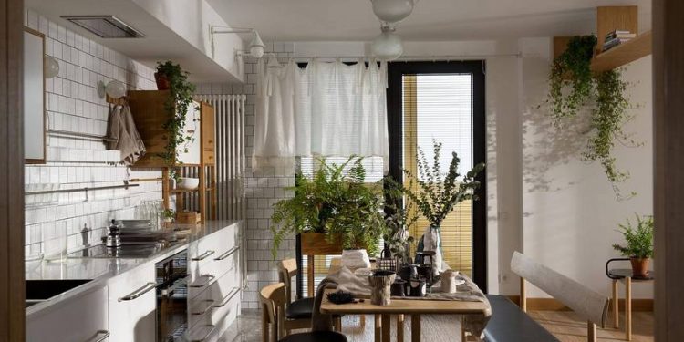 Fa, bőr, zöld növények és textilek, kontraszt és szimpla berendezés - egy tágas, háromszobás lakás