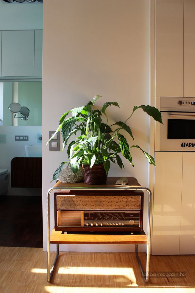 Kis lakás kreatívan saját ötletekkel és munkával - nyitott és egyedi 50nm-es otthon