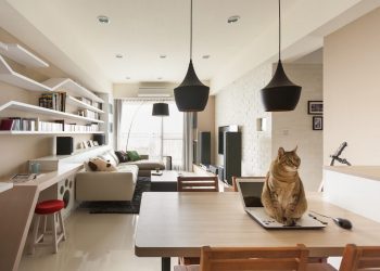 Egy férfi és egy macska - lágy, természetes színekkel dekorált, modern, otthonos lakás