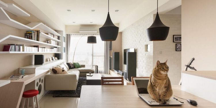 Egy férfi és egy macska - lágy, természetes színekkel dekorált, modern, otthonos lakás