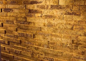 petraantiqua-burkololapok-1