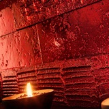 petraantiqua-burkololapok-th