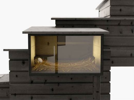 modern tyúkól design