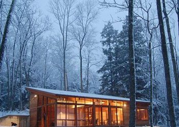 Kis faház az erdőben - nagyvonalú arányokkal maryann thompson architects 01