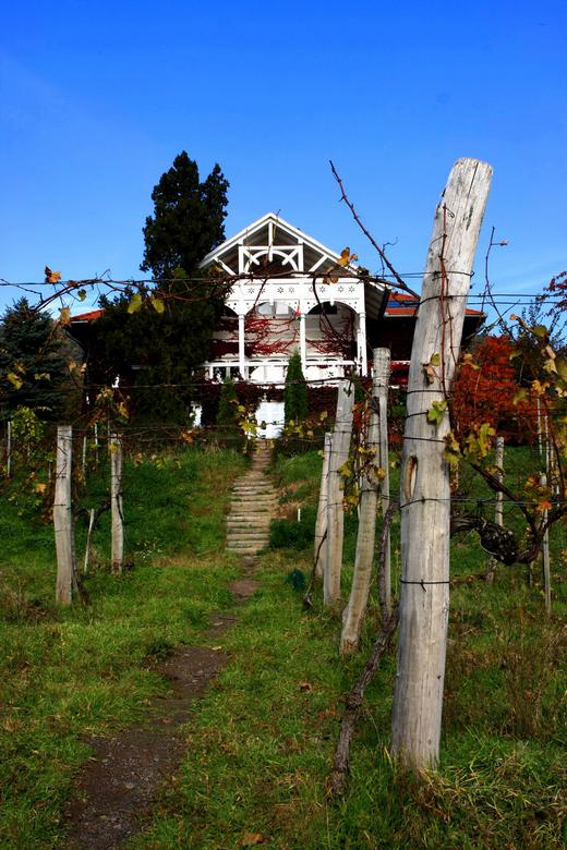 Veranda a sziklák alatt - Szeremley Huba