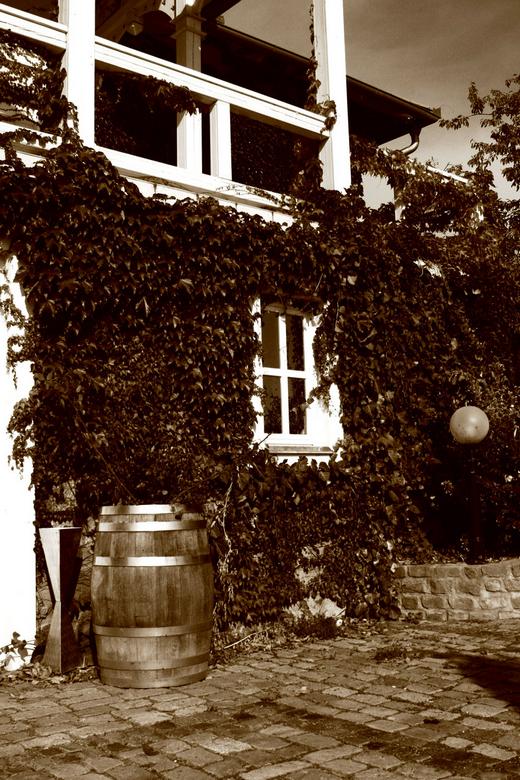 Veranda a sziklák alatt - Szeremley Huba